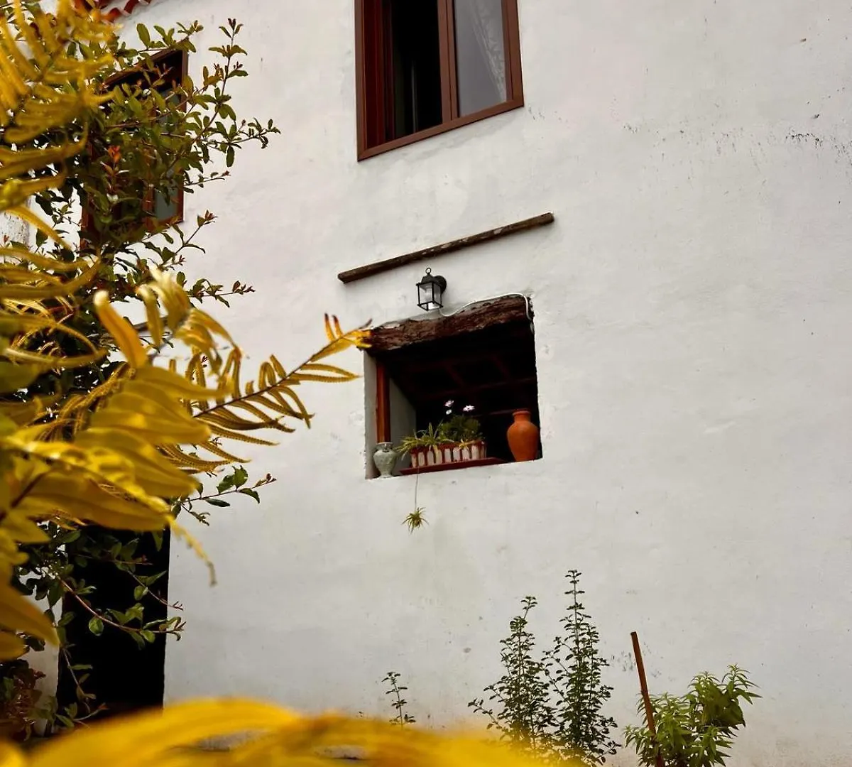 La Bodega. Villa Tacoronte